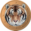 Tigercoin 64x64