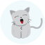 Catcoin 64x64