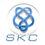 Skeincoin 64x64